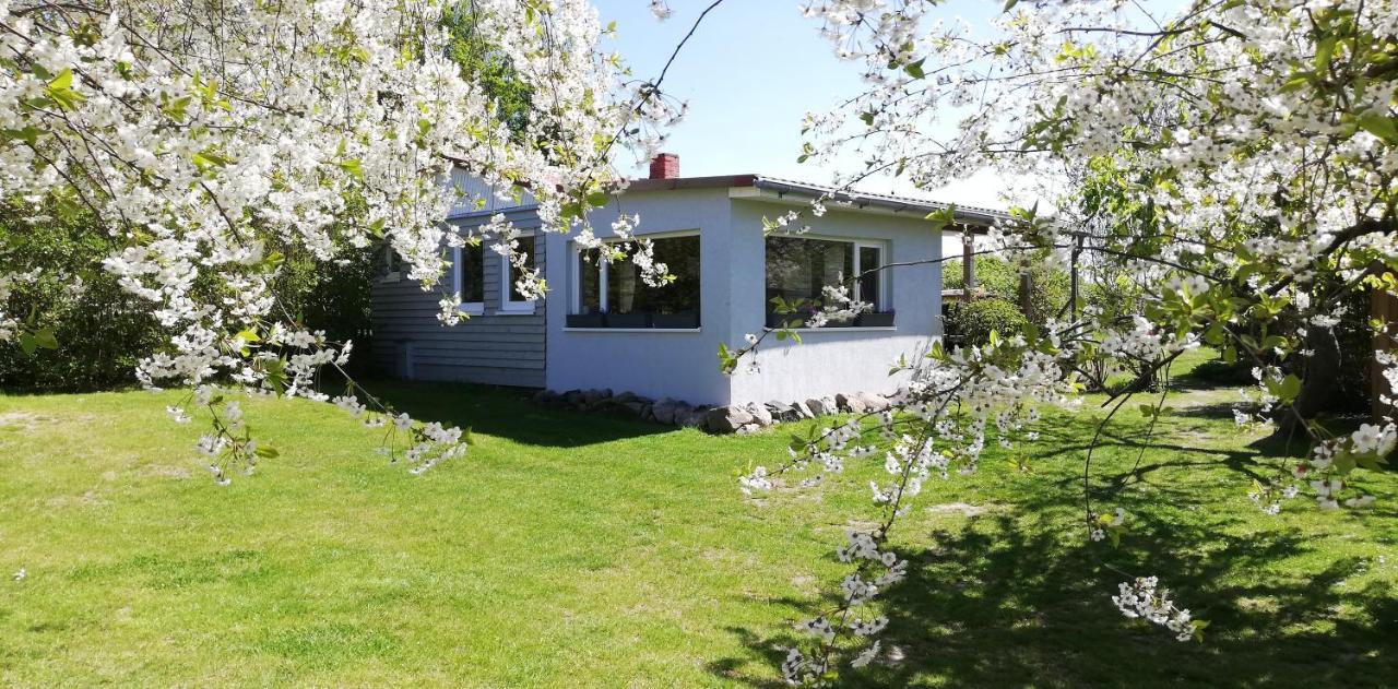 Drifthof Leilighet Glowe Eksteriør bilde